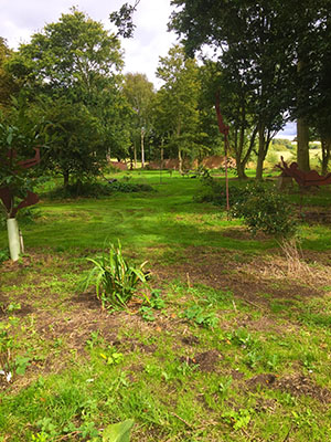 Hall Farm Gardens, Gainsborough, Lincolnshire