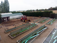 Hall Farm Garden - Transformation 01