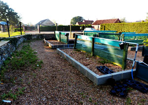 Hall Farm Garden - Before 02