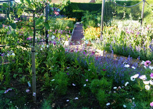 Hall Farm Garden - After 02