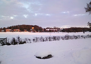 Winter view from The Old Stables